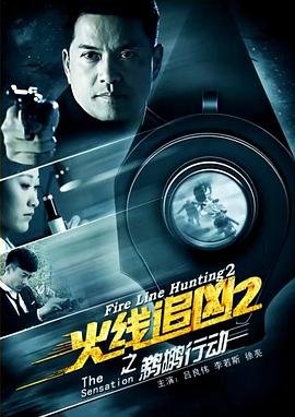 火线追凶2之鹈鹕行动 热门推荐 完整版高清