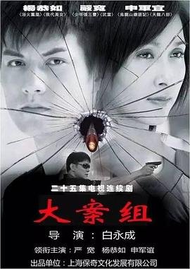 大案组 人气排行 最终季