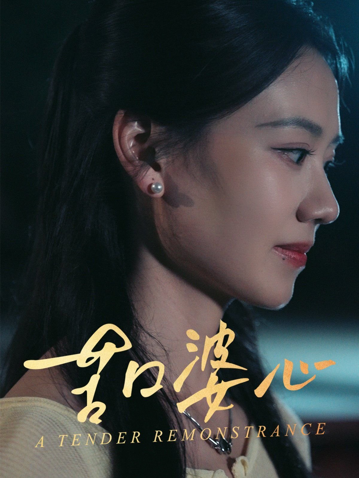 苦口婆心 全集观看 高清版