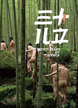 三十儿立 影院热映 高清粤语