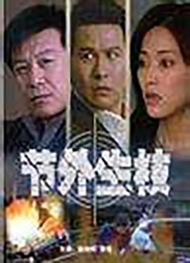 节外生枝什么意思 高清在线播放 第二部