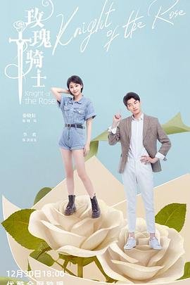 玫瑰骑士电视剧免费观看完整版 影院热映
