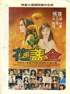 金盏花 云播放 高清粤语